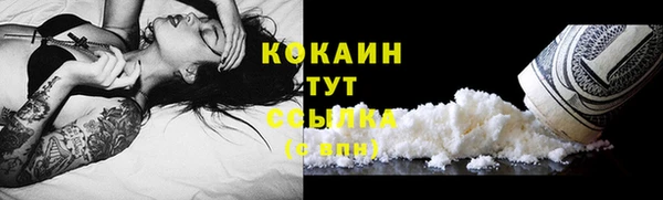 твердый Балахна