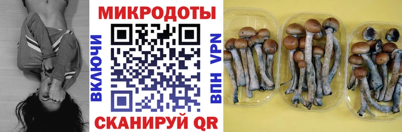 магазин  наркотиков  Северо-Курильск  Псилоцибиновые грибы мицелий 